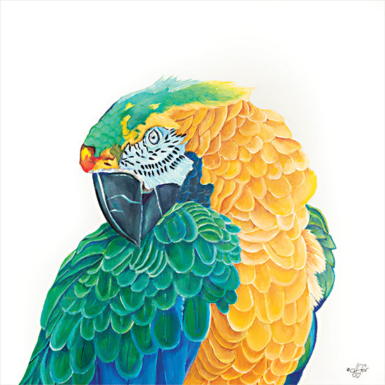 Diane Fifer DF154 - DF154 - Coyness - 12x12 Parrots, Birds, Portrait, Tropical from Penny Lane