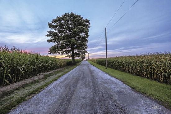 Donnie Quillen DQ113 - A Summer Sunset II - Tree, Path, Corn, Road from Penny Lane Publishing