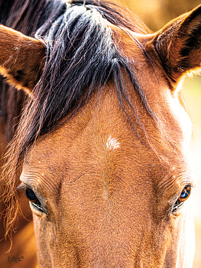 Donnie Quillen DQ167 - DQ167 - Soft Brown - 12x16 Horse, Farm Animal, Photography from Penny Lane