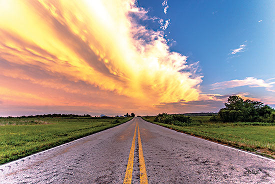 Donnie Quillen DQ195 - DQ195 - Road Less Traveled - 18x12 Road, Landscape, Travel, Trees, Photography from Penny Lane