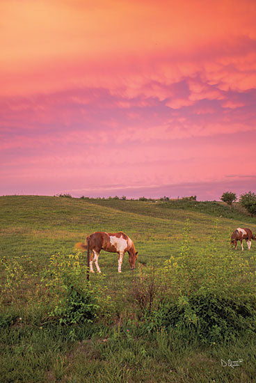 Donnie Quillen DQ196 - DQ196 - Horse at Sunset  - 12x18 Horses, Grazing, Sunset, Farm, Farm Animals, Nature, Photography from Penny Lane