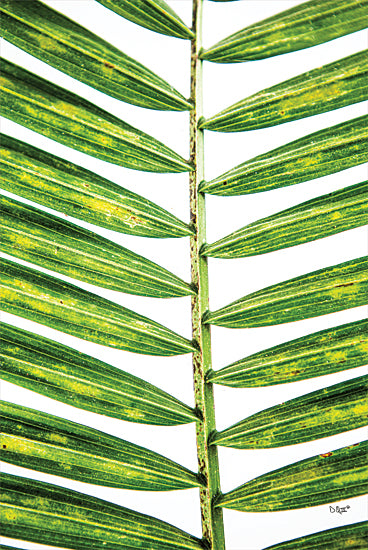 Donnie Quillen DQ202 - DQ202 - Leaf Study II - 12x18 Leaf, Close up, Tropical, Photography from Penny Lane