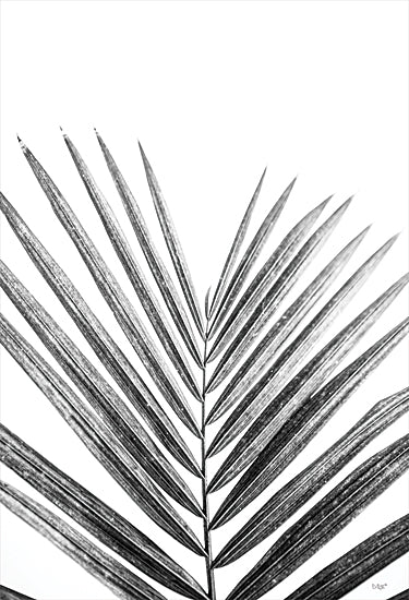 Donnie Quillen DQ205 - DQ205 - Leaf Study V - 12x18 Leaf, Close up, Black & White, Photography from Penny Lane