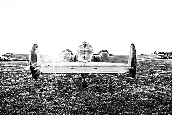 Donnie Quillen DQ215 - DQ215 - Airport Sunset   - 18x12 Airplane, Airport, Black & White, Masculine, Photography from Penny Lane