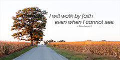 DQ221 - I Will Walk by Faith - 18x9