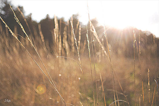 Donnie Quillen DQ229 - DQ229 - Bright Sun Haze II - 18x12 Photography, Nature, Landscape, Sunlight from Penny Lane