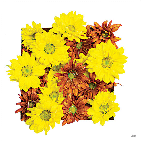 Donnie Quillen DQ236 - DQ236 - Floral Pop III - 12x12 Mums, Yellow Mums, Orange Mums, Fall, Autumn, Flowers, Photography from Penny Lane
