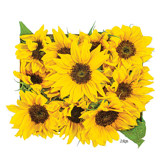 Donnie Quillen DQ243 - DQ243 - Sunflower Bouquet - 12x12 Sunflowers, Flowers, Photography, Fall, Autumn, Bouquet, Blooms, Botanical from Penny Lane