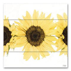 DQ286PAL - Sunflowers in a Row I - 12x12
