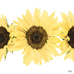 DQ286 - Sunflowers in a Row I - 12x12