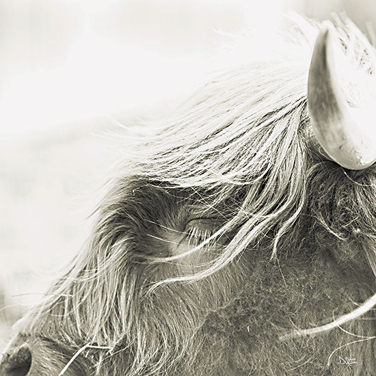Donnie Quillen DQ298 - DQ298 - Blink - 12x12 Cow, Longhorn Cow, Farm Animal, Photography, Sepia, Profile from Penny Lane