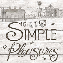 DS1564 - It's the Simple Pleasures