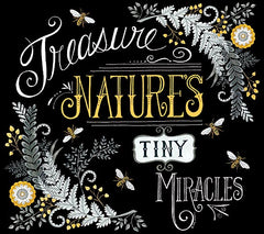 DS1590 - Treasure Nature's Tiny Miracles
