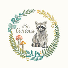 DS1959 - Be Curious Raccoon - 12x12