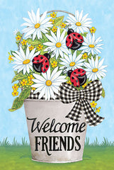 DS2139LIC - Welcome Friends Ladybugs - 0