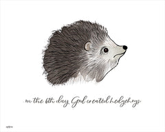 DUST541 - God Created Hedgehogs  - 16x12
