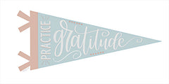 DUST734 - Practice Gratitude Pennant - 18x9