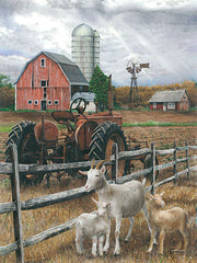 ED188 - The Old Tractor - 12x16