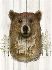 ED350 - Bear Wilderness Portrait - 12x16