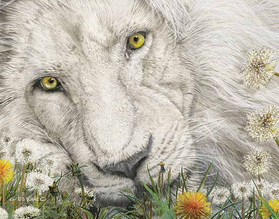 Ed Wargo ED396 - Dandy Lion - 16x12 Lions, Dandelions, Wildflowers, Weeds, White Lion from Penny Lane