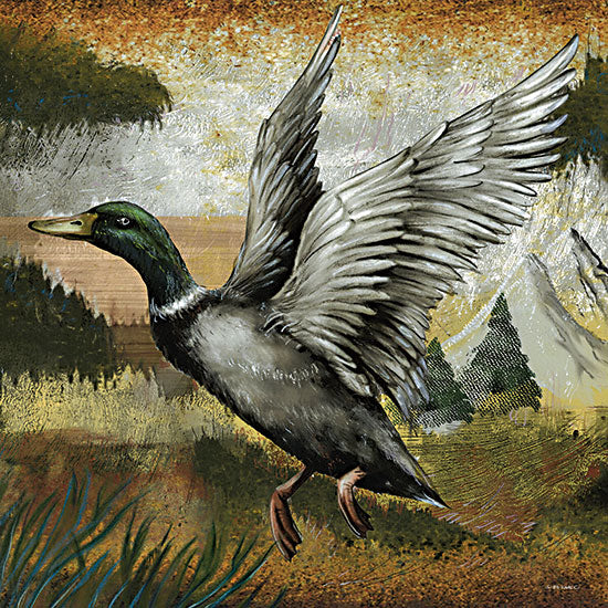 Ed Wargo ED480 - ED480 - Mallard Duck - 12x12 Lake, Duck, Mallard Duck, Duck in Flight, Landscape, Masculine from Penny Lane
