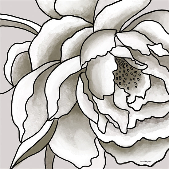 Elizabeth Tyndall ET135 - ET135 - Macro Peony Sketch II - 12x12 Flower, Peony, Sketch, Black & White, Drawing Print from Penny Lane