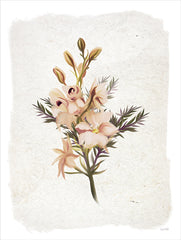 FEN1049 - Weathered Snapdragons - 12x16
