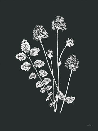 House Fenway FEN1056 - FEN1056 - Wildflower Sunprint I - 12x16 Wildflowers, Leaves, Black & White, Silhouette from Penny Lane