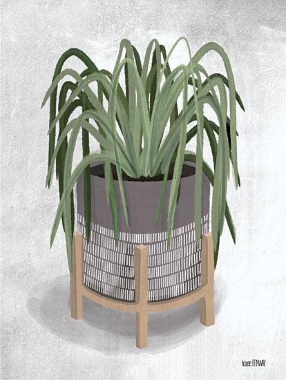 House Fenway FEN114 - FEN114 - Spider Plant - 12x16 Plants, Vase, Spider Plant, Still Life from Penny Lane