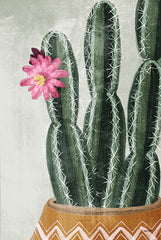 FEN144 - Flowering Cactus - 12x16