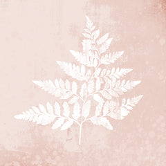 FEN149 - Blush Fern I - 12x12