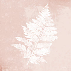 FEN150 - Blush Fern II - 12x12