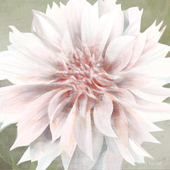 FEN199 - Pink Dahlia   - 12x12