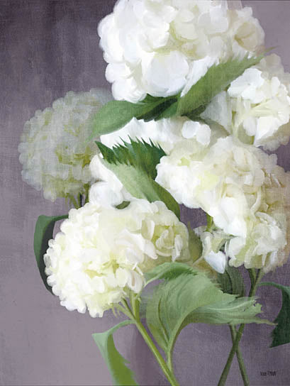 House Fenway FEN233 - FEN233 - Snow Hydrangeas - 12x16 Hydrangeas, Flowers, White Flowers, Botanical, Bouquet, Blooms from Penny Lane