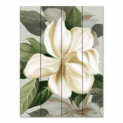 FEN532PAL - Magnolia Blossoms II - 12x16