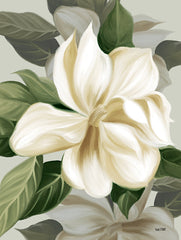 FEN532 - Magnolia Blossoms II - 12x16