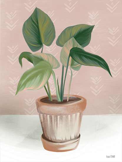 House Fenway FEN628 - FEN628 - House Prayer Plant - 12x16 House Plant, Plant, Potted Plant, Greenery from Penny Lane