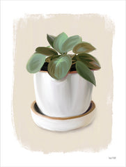 FEN693 - House Plant II - 12x16