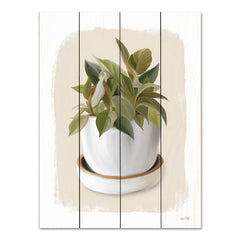 FEN694PAL - House Plant III - 12x16