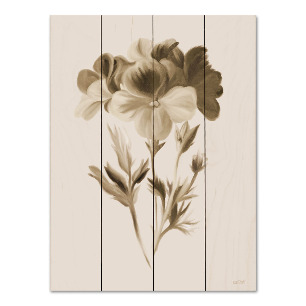 House Fenway FEN759PAL - FEN759PAL - Sepia Botanical I     - 12x16 Flower, Botanical, Sepia, One Color, Blooms from Penny Lane