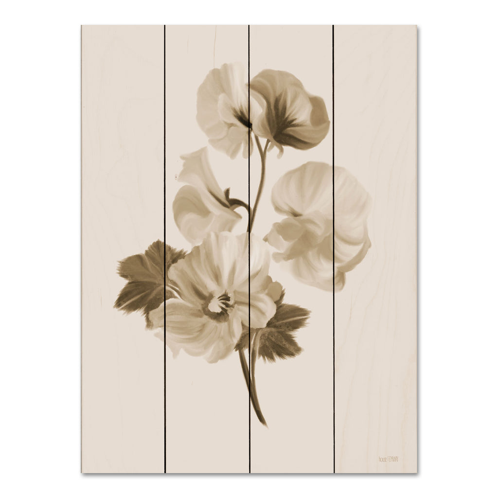 House Fenway FEN760PAL - FEN760PAL - Sepia Botanical II     - 12x16 Flower, Botanical, Sepia, One Color, Blooms from Penny Lane
