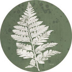 FEN853RP - Fern Botanical II - 18x18