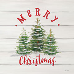 FEN964 - Merry Christmas on Shiplap - 12x12