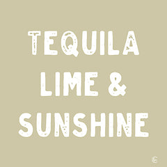 FMC284 - Tequila, Lime & Sunshine - 12x12