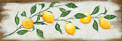 HH209A - Lemon Branch - 36x12