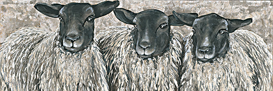 Hollihocks Art HH222A - HH222A - Three Sheep   - 36x12 Animals, Sheep, Three Sheep, Portrait, Farm Animals from Penny Lane