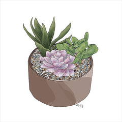 HK149 - Succulent Planter I - 12x12