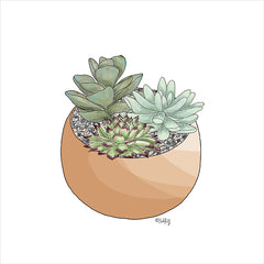 HK150 - Succulent Planter II - 12x12