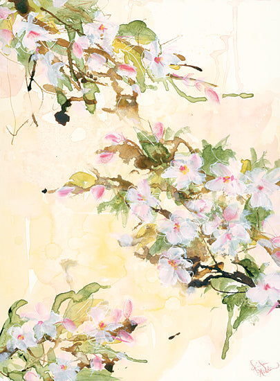Jennifer Holden HOLD137 - HOLD137 - Cherry Blossoms - 12x16 Cherry Blossoms, Botanical from Penny Lane