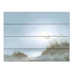 JAN293PAL - Misty Morning Dunes - 16x12